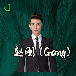 赵刚 (Gang)